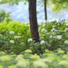 荻窪公園②