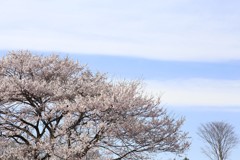 日本のこころ②