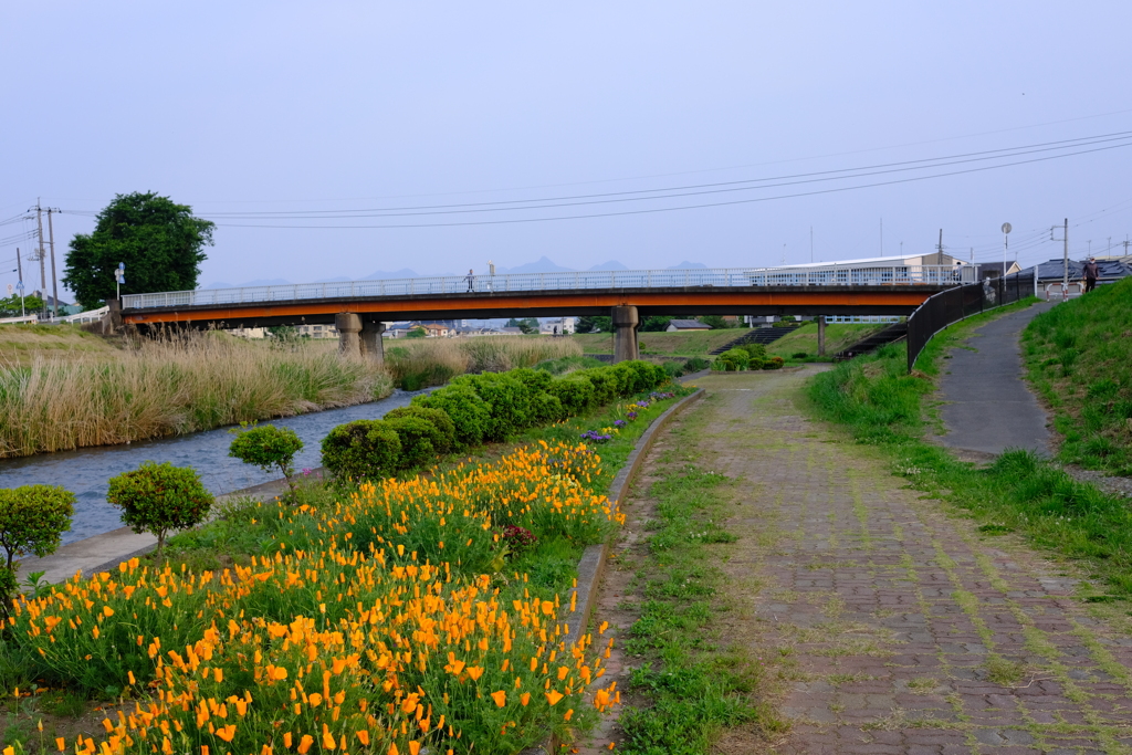 散歩道で④