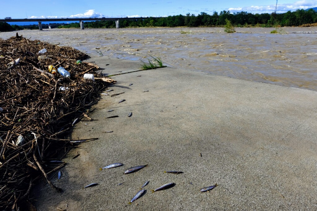19号台風一過②