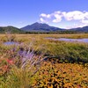 燧ヶ岳と池塘①