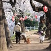 それぞれのペースで