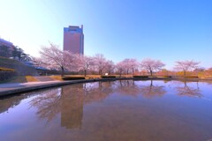 前橋公園①