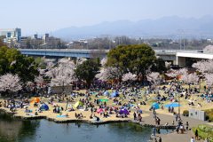行楽日和①
