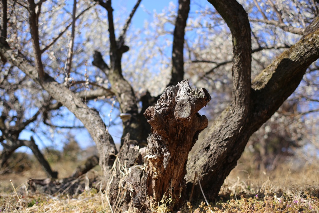 おつかれさま④