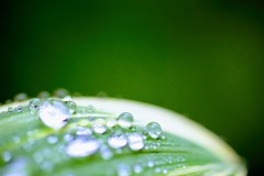 雨上がり