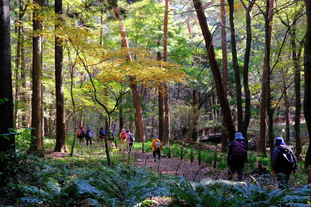 赤城自然園④