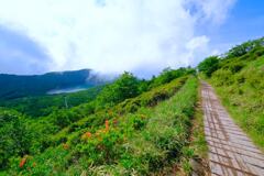 地蔵岳登山道