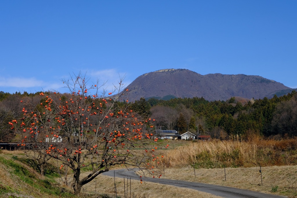 山里の風景