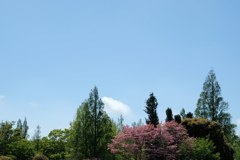 雨あがり