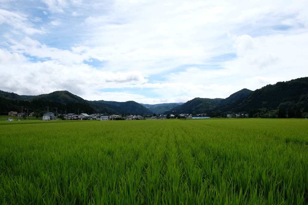 みちのくの風景④