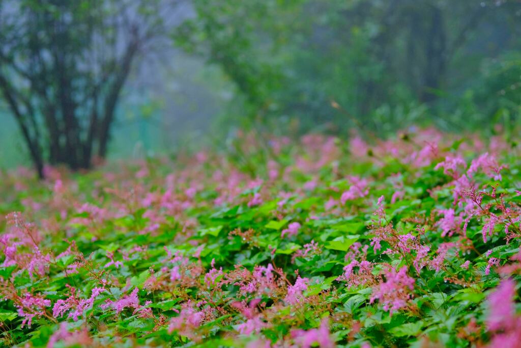 赤城自然園⑤