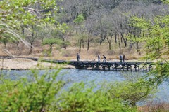 新緑始まりの覚満淵