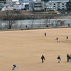 球春到来⑤