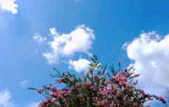 秋空