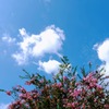 秋空