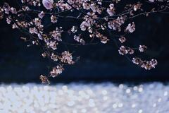 春の輝き