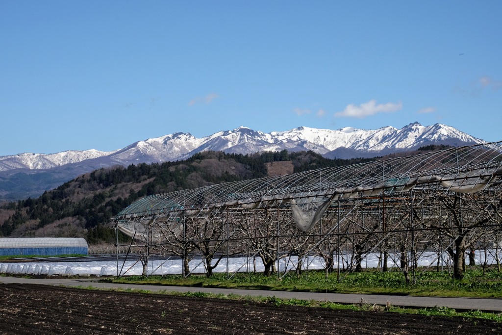 高原の風景②