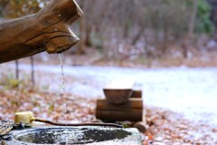 初冬の赤城自然園①
