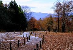 師走の赤城自然園①