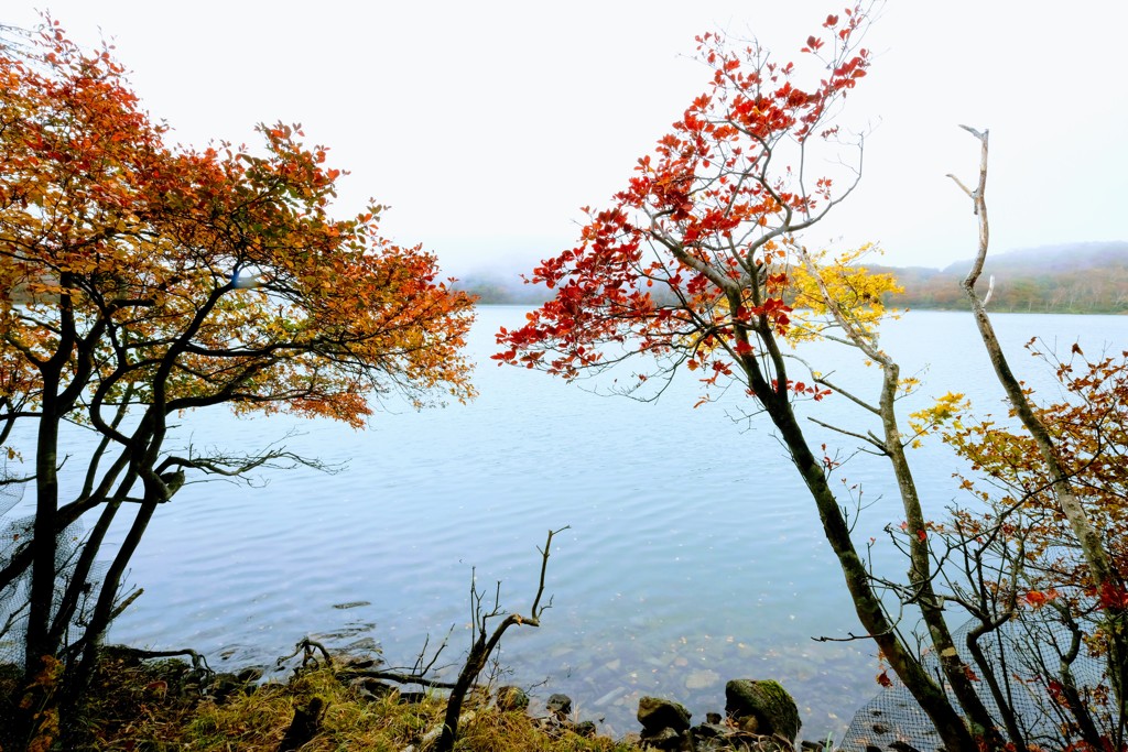 赤城山紅葉③