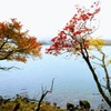 赤城山紅葉③