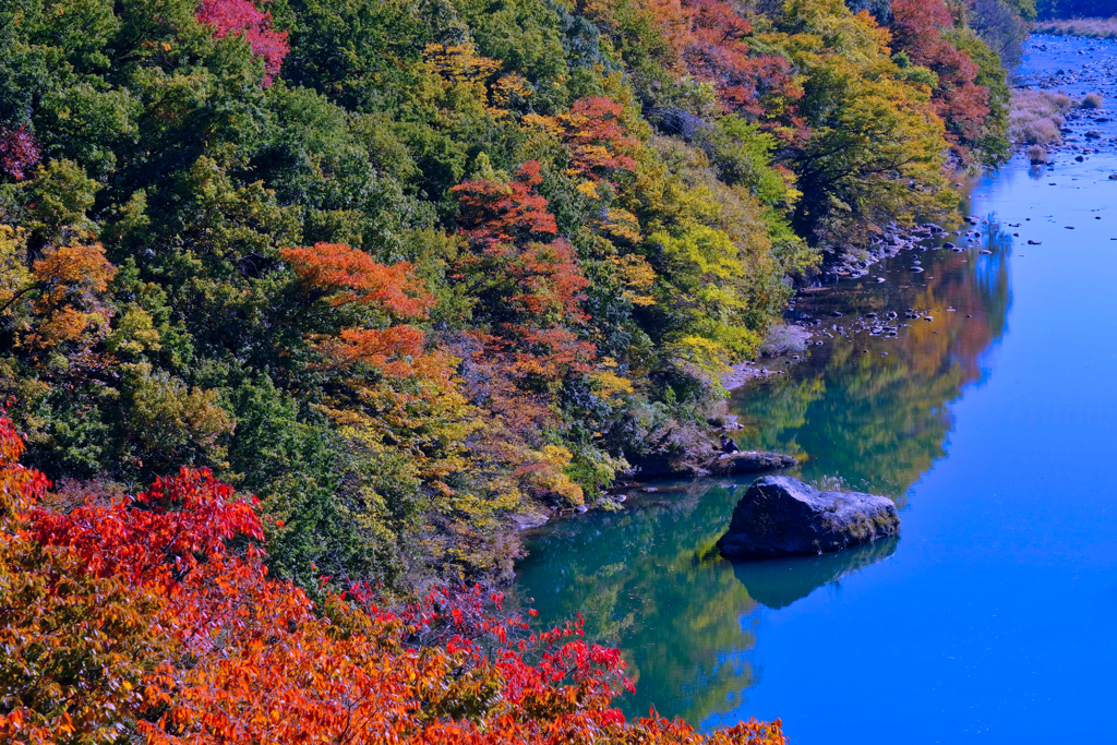 高津戸峡の紅葉④