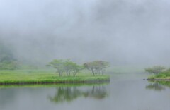 覚満淵①