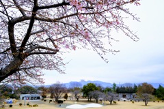 市民のもり公園