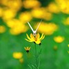 至福の時①