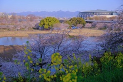 前橋公園③