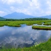 池塘