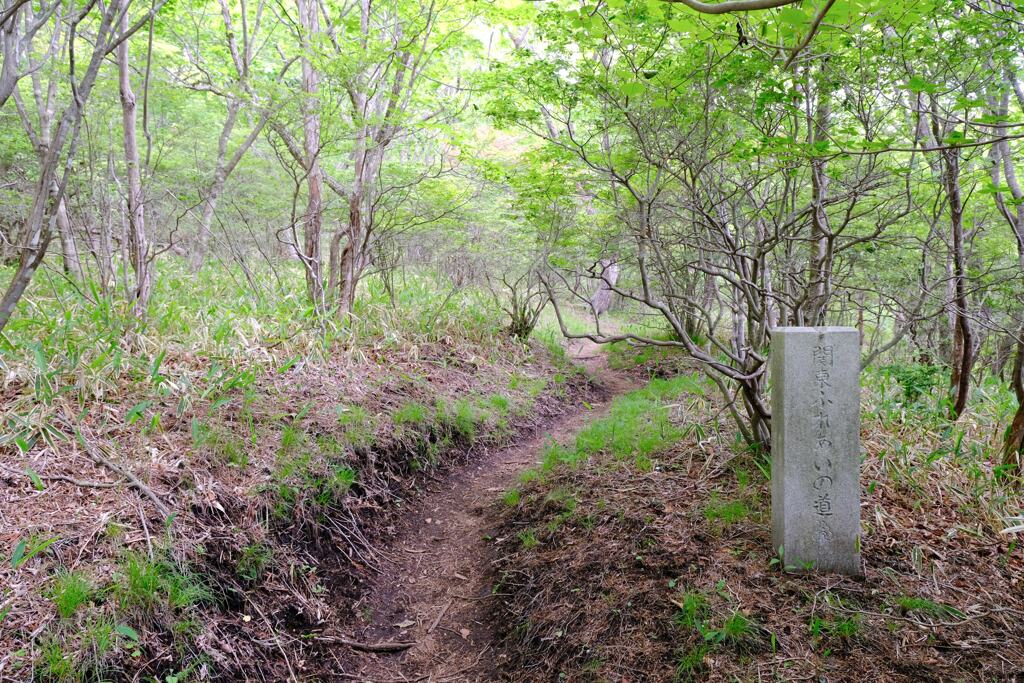 登山道①