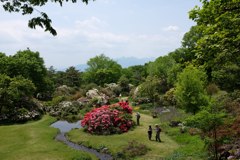 春の赤城自然園