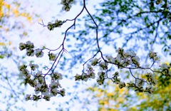 平穏③