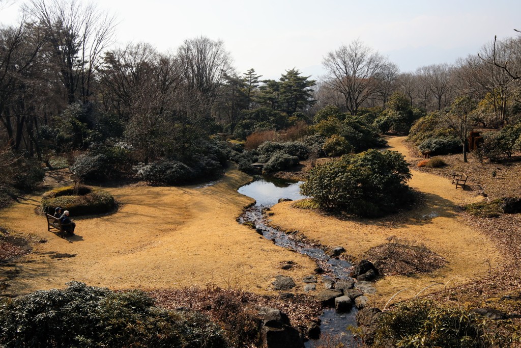 春を待つ赤城自然園①