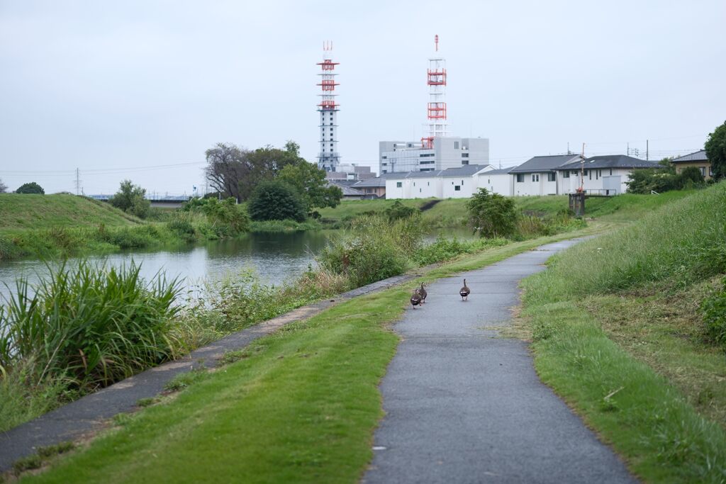 雨上がり