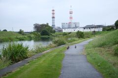 雨上がり