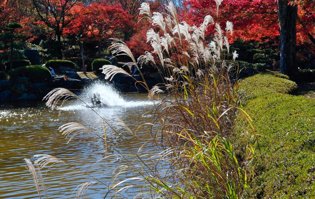 桜山公園⑨