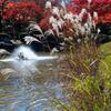 桜山公園⑨