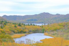 赤城山の紅葉④