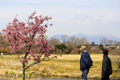 くつろぎの春③