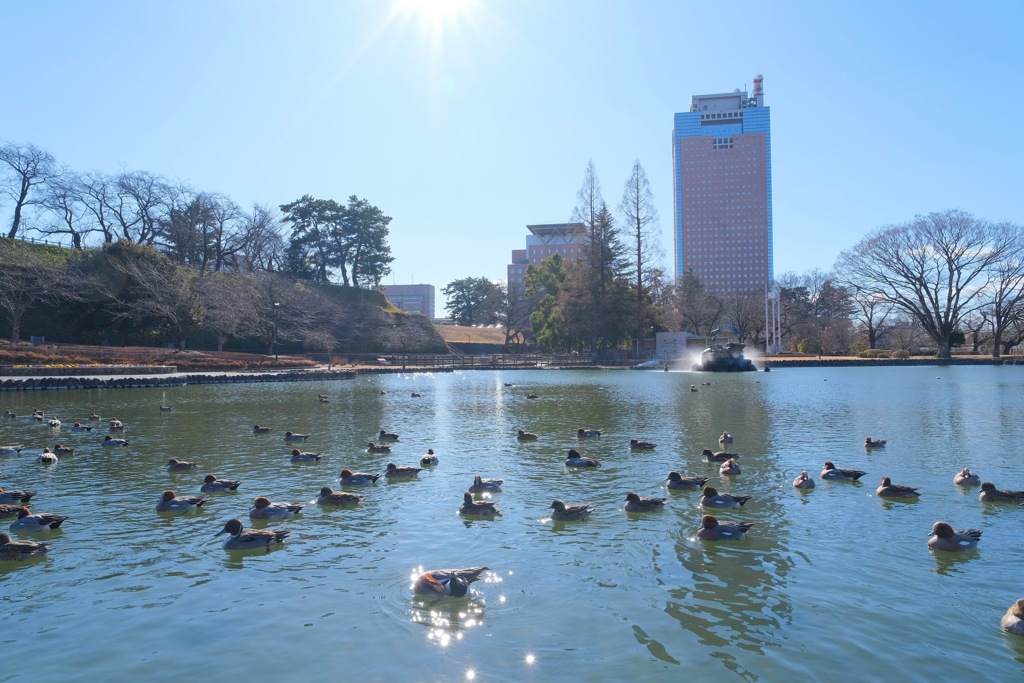 静かな公園