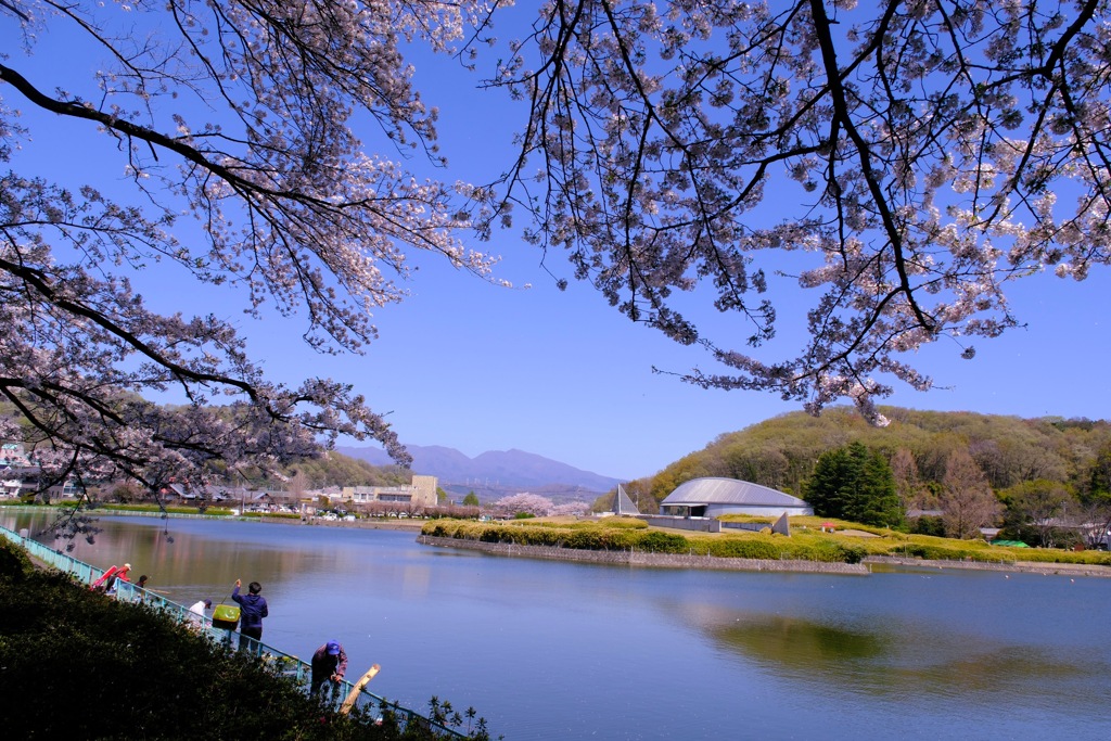 鹿の川沼