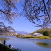 鹿の川沼