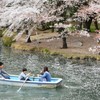 桜吹雪⑥