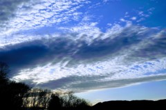 3月20日夕景②