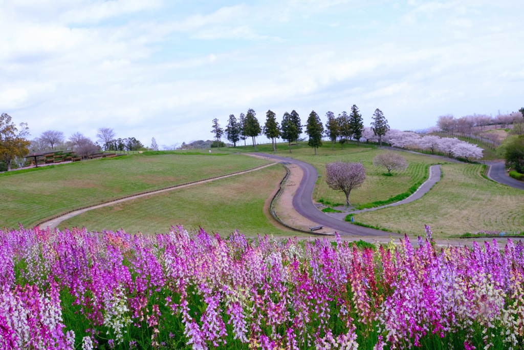 北部運動公園