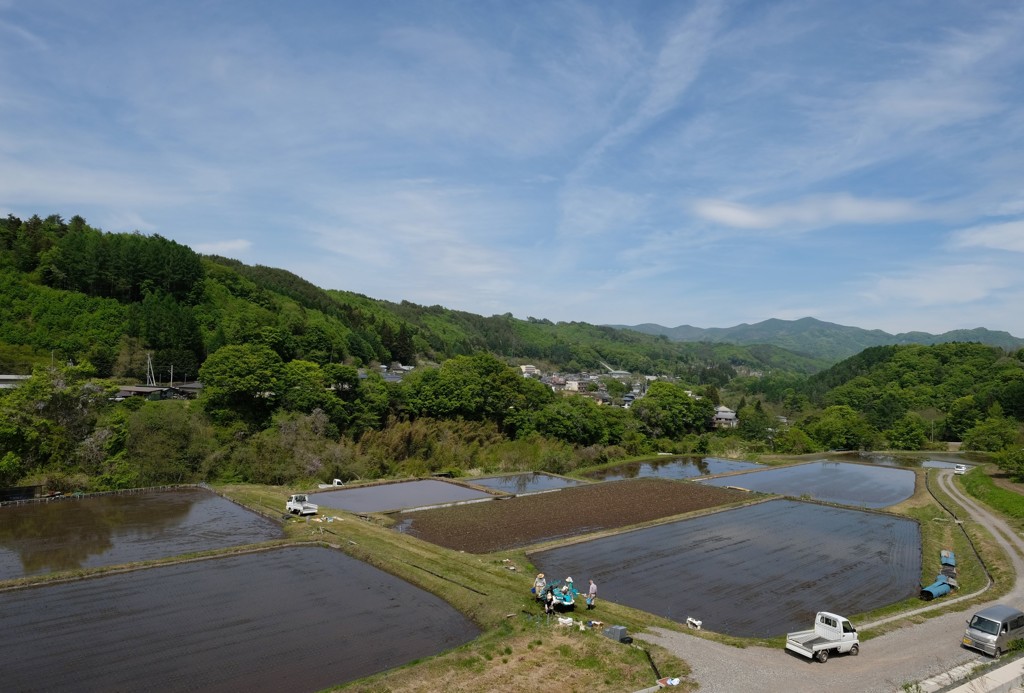 総出の作業