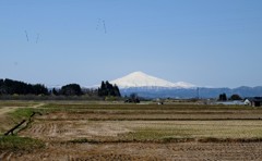 横手市増田地区から観た鳥海山